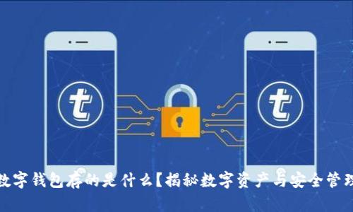 数字钱包存的是什么？揭秘数字资产与安全管理