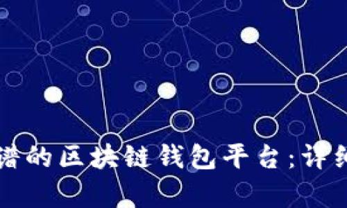 如何选择靠谱的区块链钱包平台：详细解析与推荐