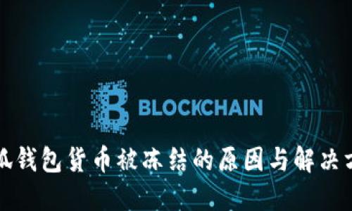 小狐钱包货币被冻结的原因与解决方案
