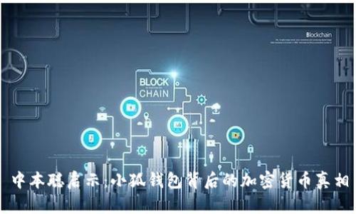 中本聪启示：小狐钱包背后的加密货币真相