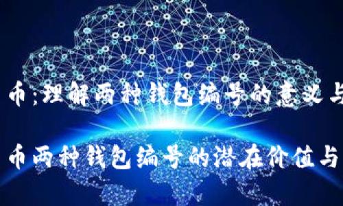 数字人民币：理解两种钱包编号的意义与功能

数字人民币两种钱包编号的潜在价值与应用分析
