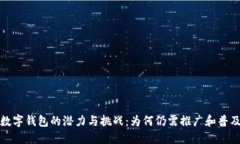 数字钱包的潜力与挑战：