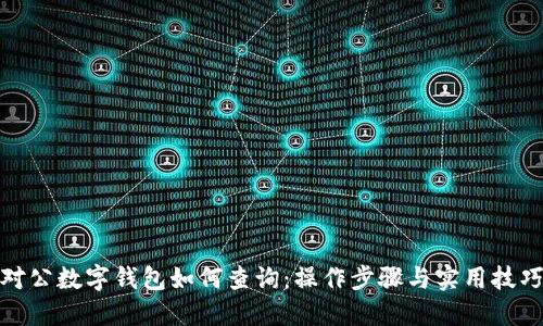 对公数字钱包如何查询：操作步骤与实用技巧