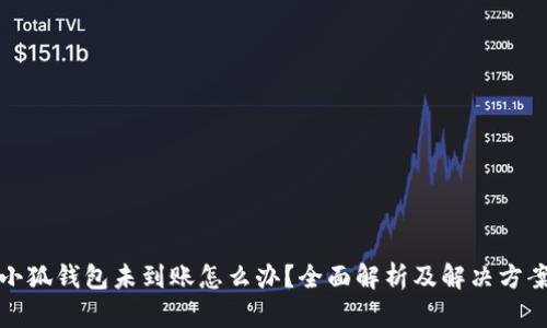 小狐钱包未到账怎么办？全面解析及解决方案
