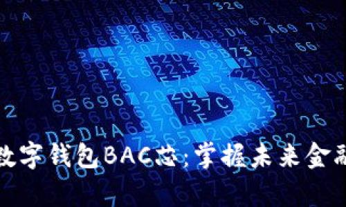 全面解析数字钱包BAC芯：掌握未来金融的新工具
