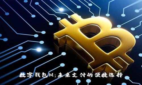 数字钱包M：未来支付的便捷选择