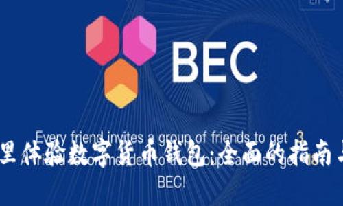 :到哪里体验数字货币钱包：全面的指南与建议