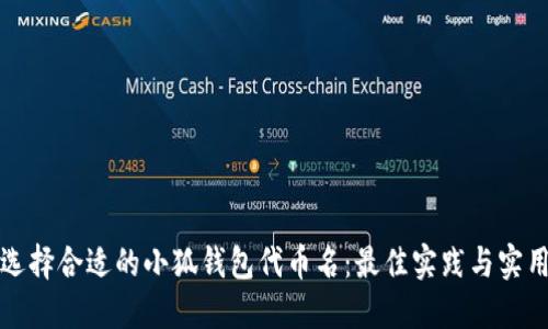 如何选择合适的小狐钱包代币名：最佳实践与实用指南