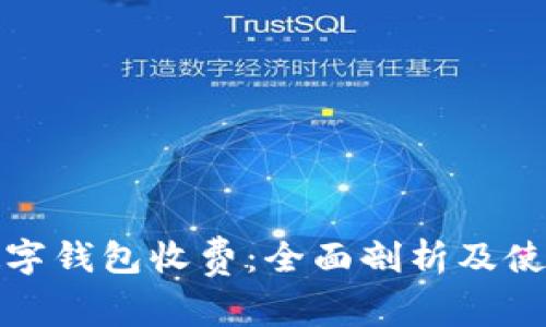 建行数字钱包收费：全面剖析及使用指南