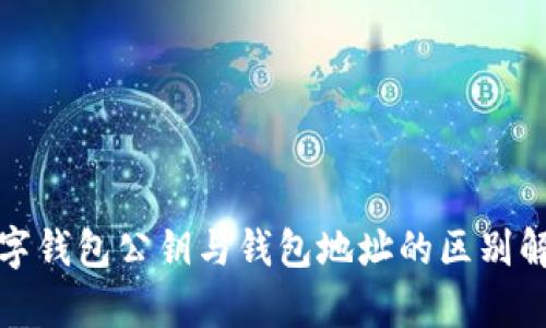 数字钱包公钥与钱包地址的区别解析