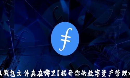 
小狐钱包文件夹在哪里？揭开你的数字资产管理之谜