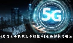 biasi为什么小狐钱包不能转