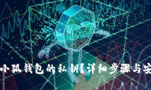 如何查看小狐钱包的私钥？详细步骤与安全性解析