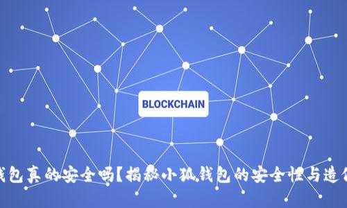 小狐钱包真的安全吗？揭秘小狐钱包的安全性与造假风险