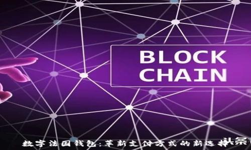   
数字法国钱包：革新支付方式的新选择