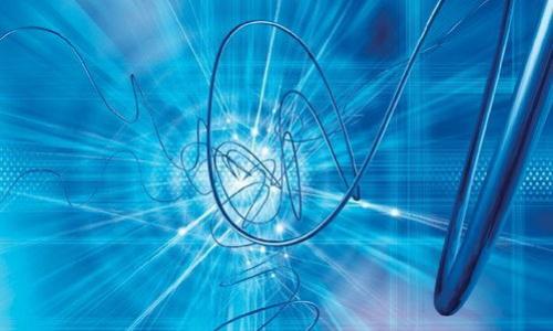 

数字子母钱包骗局：揭示加密货币投资中的隐秘陷阱