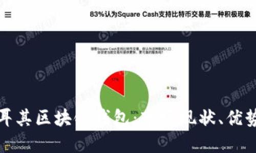 全面解读土耳其区块链钱包：市场现状、优势与未来趋势