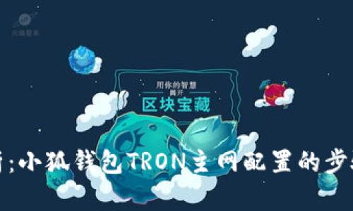 全面解析：小狐钱包TRON主网配置的步骤与技巧