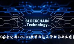 如何安全使用Exodus数字钱
