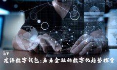 br龙港数字钱包：未来金融