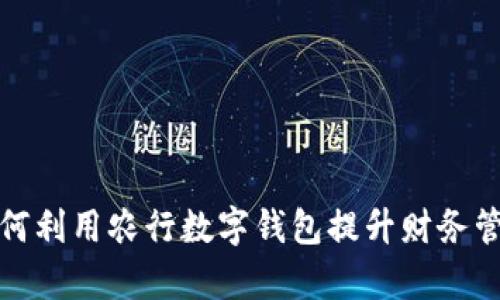 企业如何利用农行数字钱包提升财务管理效率