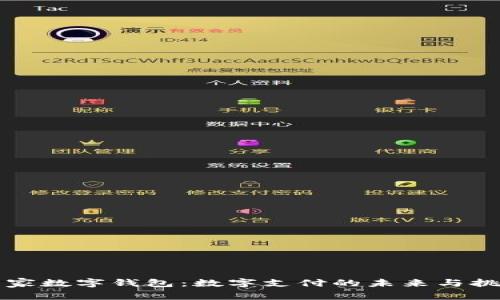 国家数字钱包：数字支付的未来与挑战