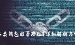 数字人民币二类钱包能否