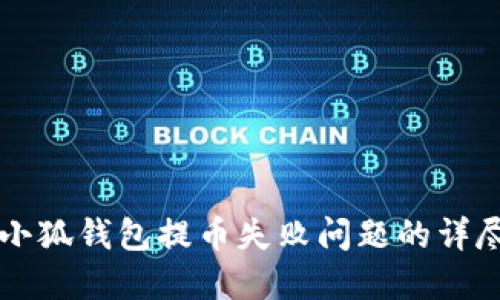 解决小狐钱包提币失败问题的详尽指南