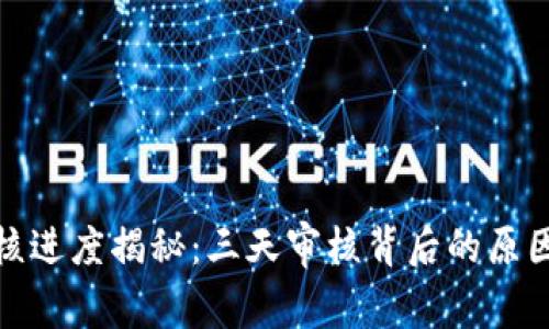 数字钱包审核进度揭秘：三天审核背后的原因与解决方案