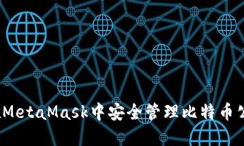  如何在MetaMask中安全管理比特币公共地址