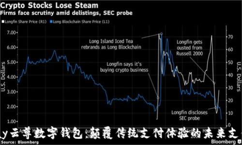   
WinPay云尊数字钱包：颠覆传统支付体验的未来支付方案
