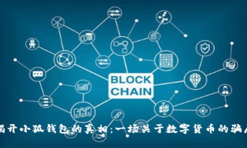  揭开小狐钱包的真相：一场关于数字货币的骗局？
