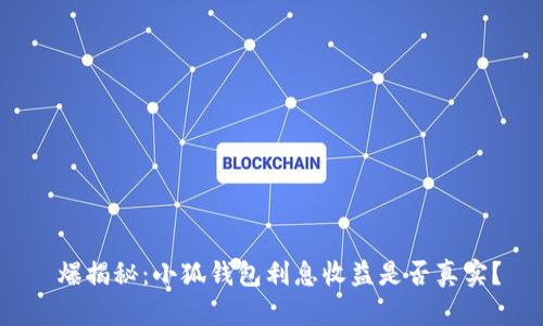  爆揭秘：小狐钱包利息收益是否真实？