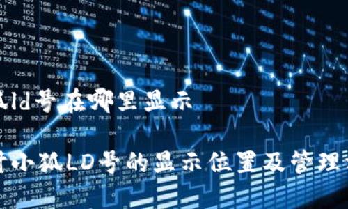 小狐ld号在哪里显示

探讨小狐LD号的显示位置及管理方法